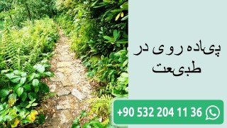 پیاده روی در طبیعت